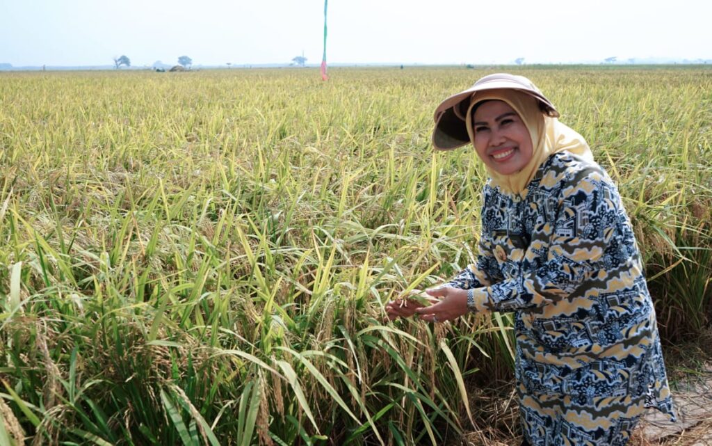 Berprestasi Bidang Pertanian, Ratu Tatu Raih Satyalancana Wira Karya dari Presiden Jokowi