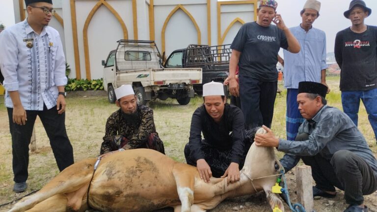 Jelang Idul Adha, LPPM Untirta Gelar PKM di Desa Sindangheula Dengan Pelatihan Sembelih Hewan