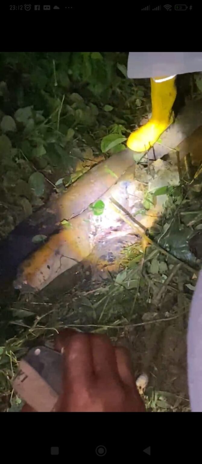 Warga Gunung Sari Dikejutkan Penemuan May*t Tanpa Busana Diduga Korban Mutilasi