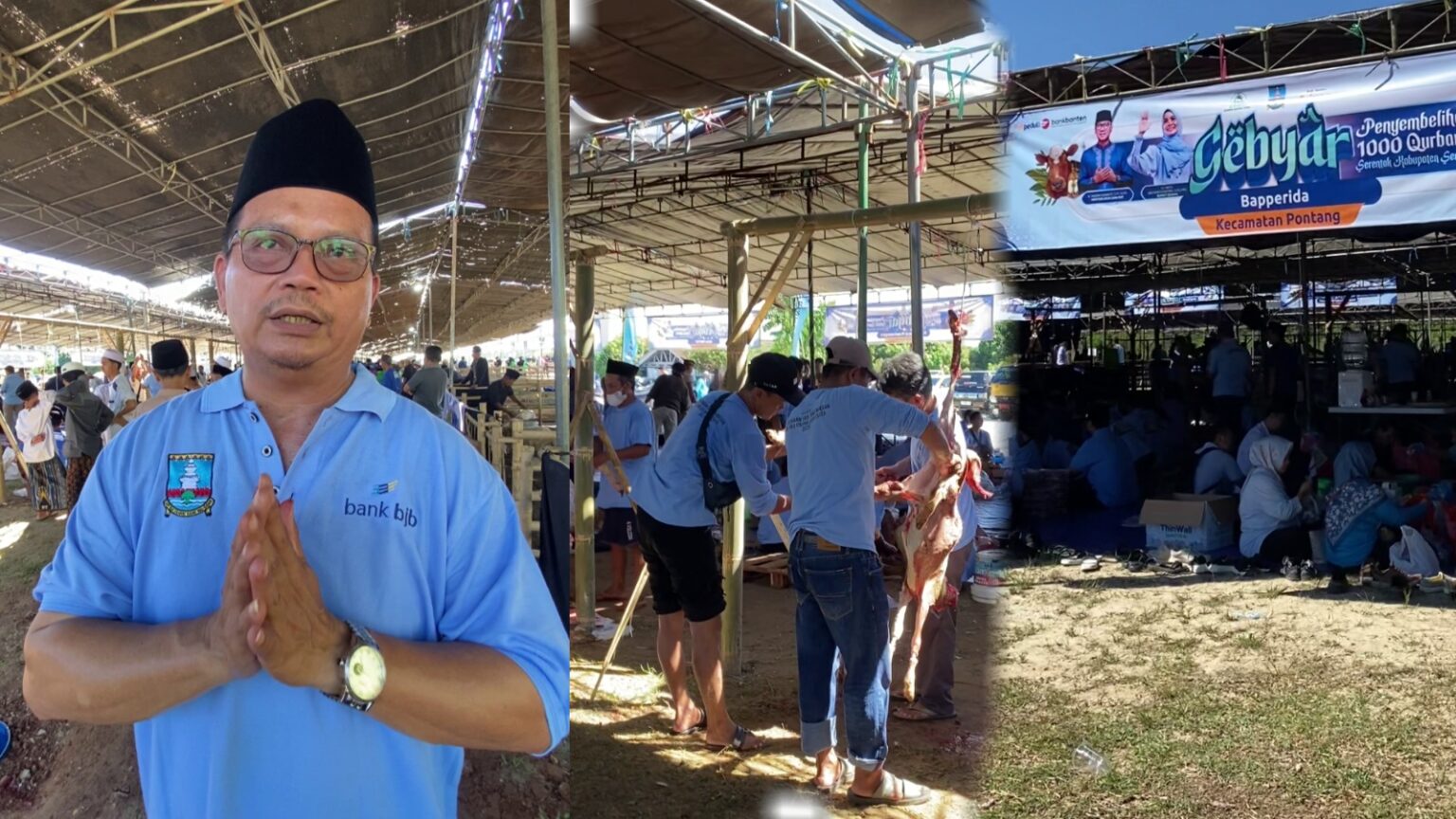 Seribu Domba, Seribu Makna: Pesan Keikhlasan dari Pemkab Serang di Hari Kurban